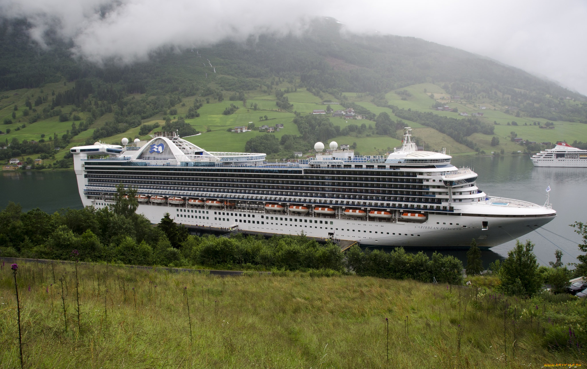 caribbean princess, , , , 